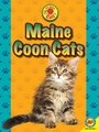 Cover: Maine Coon Cats - Weigl Publishers Inc.