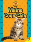 Cover: Maine Coon Cats - Weigl Publishers Inc.