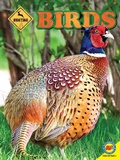Cover: Birds - Weigl Publishers Inc.