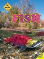 Cover: Fish - Weigl Publishers Inc.