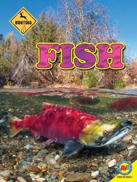 Enlarge image Cover: Fish - Weigl Publishers Inc.