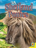 Cover: Shetland Ponies - Weigl Publishers Inc.