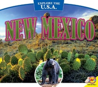 Enlarge image Cover: New Mexico - Weigl Publishers Inc.
