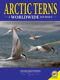 Cover: Arctic Terns: A Worldwide Journey - Weigl Publishers Inc.
