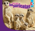 Cover: Todo sobre las suricatas - Weigl Publishers Inc.
