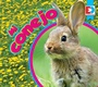 Cover: Mi conejo - Weigl Publishers Inc.