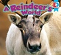 Cover: A Reindeer's World - Weigl Publishers Inc.
