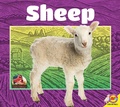 Cover: Sheep - Weigl Publishers Inc.