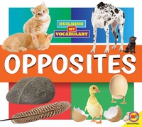 Abbildung von: Opposites - Weigl Publishers Inc.