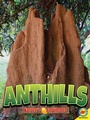 Cover: Anthills - Weigl Publishers Inc.
