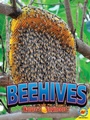 Cover: Beehives - Weigl Publishers Inc.