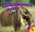 Cover: El oso hormiguero gigante - Weigl Publishers Inc.