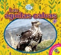 Cover: Las &aacute;guilas calvas - Weigl Publishers Inc.