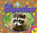 Cover: Los mapaches - Weigl Publishers Inc.