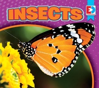 Enlarge image Cover: Insects - Weigl Publishers Inc.