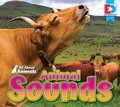 Cover: All About Animals - Animal Sounds - Weigl Publishers Inc.