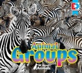 Cover: All About Animals - Animal Groups - Weigl Publishers Inc.