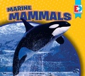 Cover: Marine Mammals - Weigl Publishers Inc.