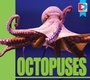 Cover: Octopuses - Weigl Publishers Inc.
