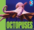 Cover: Octopuses - Weigl Publishers Inc.