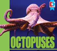 Enlarge image Cover: Octopuses - Weigl Publishers Inc.