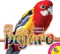 Cover: El p&aacute;jaro - Weigl Publishers Inc.
