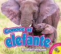Cover: Conoce al elefante - Weigl Publishers Inc.
