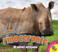 Cover: Conoce al rinoceronte - Weigl Publishers Inc.