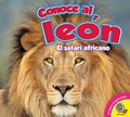 Cover: Conoce al le&oacute;n - Weigl Publishers Inc.