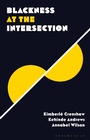 Cover: Blackness at the Intersection - Zed Books Ltd