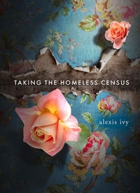 Enlarge image Cover: Taking the Homeless Census - Saturnalia Books