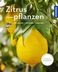 Abbildung von: Zitruspflanzen (Mein Garten) - Kosmos