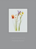 Cover: Polaroid Poems - Fotohofedition