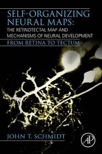 Abbildung von: Self-organizing Neural Maps: The Retinotectal Map and Mechanisms of Neural Development - Academic Press