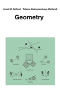Cover: Geometry - Birkh&auml;user