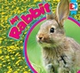 Cover: My Rabbit - Weigl Publishers Inc.