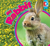 Enlarge image Cover: My Rabbit - Weigl Publishers Inc.