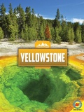Cover: Yellowstone - Weigl Publishers Inc.