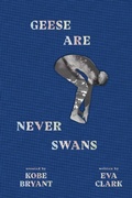 Cover: Geese Are Never Swans - Granity Studios