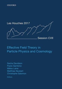Enlarge image Cover: Effective Field Theory in Particle Physics and Cosmology - Oxford University Press