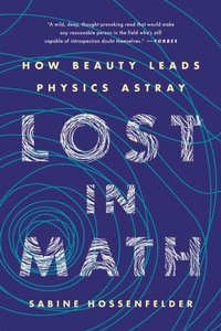 Abbildung von: Lost in Math - Basic Books