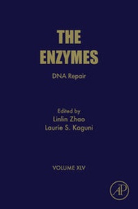 Abbildung von: DNA Repair - Academic Press