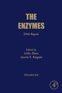 Cover: DNA Repair - Academic Press