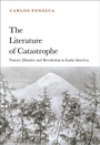 Cover: The Literature of Catastrophe - Bloomsbury Academic USA