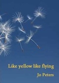 Cover: Like yellow like flying - Half Moon Books