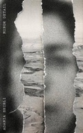Cover: Minor Detail - New Directions Publishing Corporation