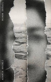Enlarge image Cover: Minor Detail - New Directions Publishing Corporation