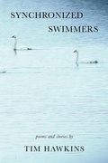 Cover: Synchronized Swimmers - Kyso Flash