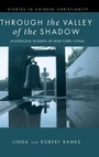Cover: Through the Valley of the Shadow - Wipf & Stock Publishers
