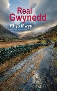 Abbildung von: Real Gwynedd - Seren